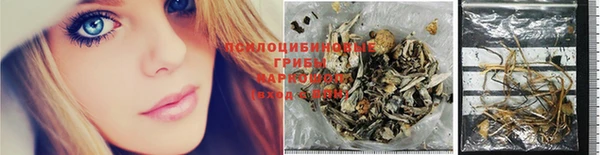 apvp Приозерск