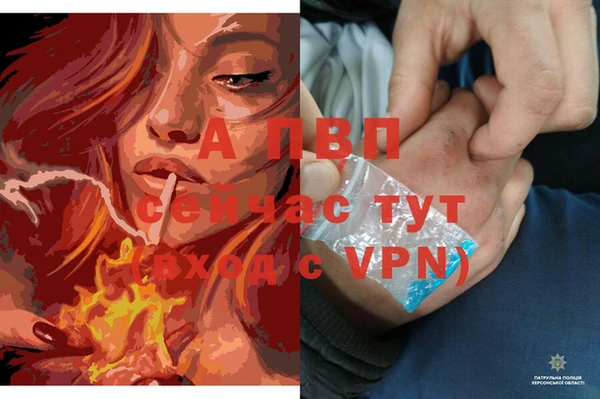 сатива Протвино