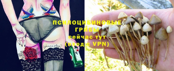 сатива Протвино