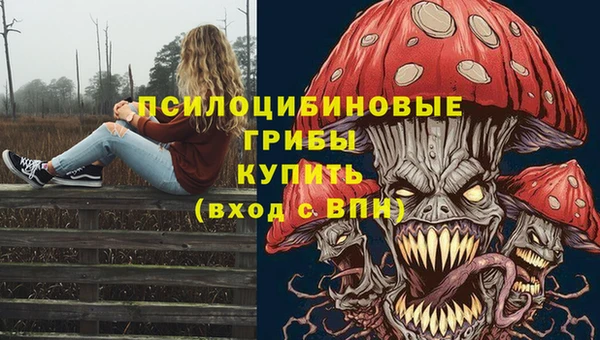 сатива Протвино