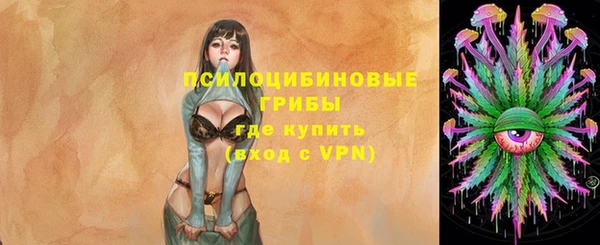 сатива Протвино